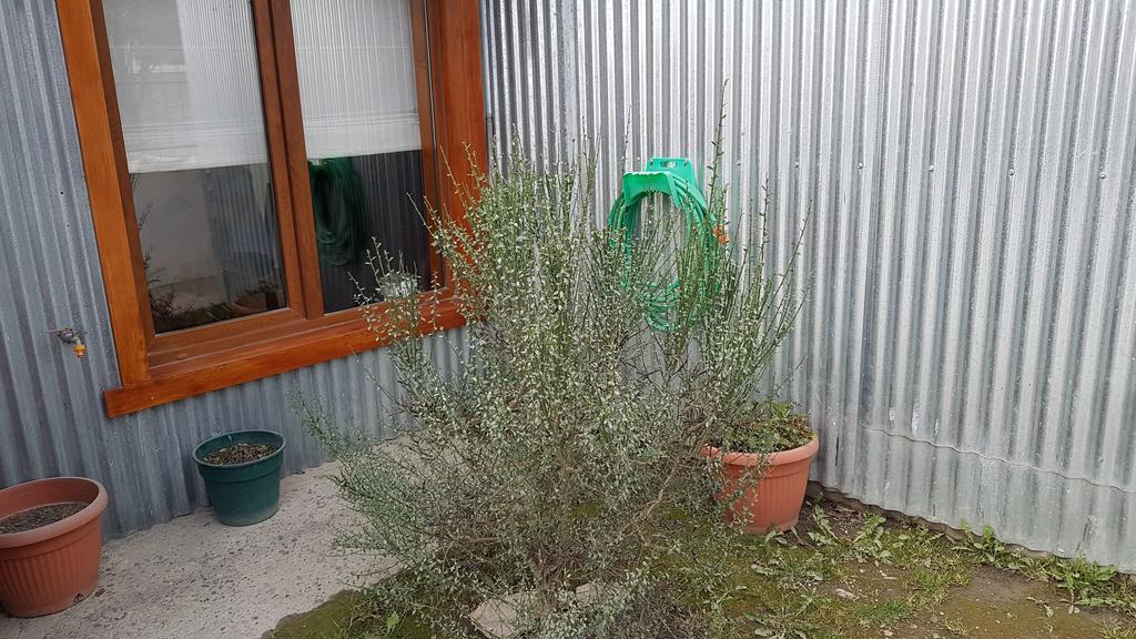 Lala'S Home Ουσουάια Εξωτερικό φωτογραφία